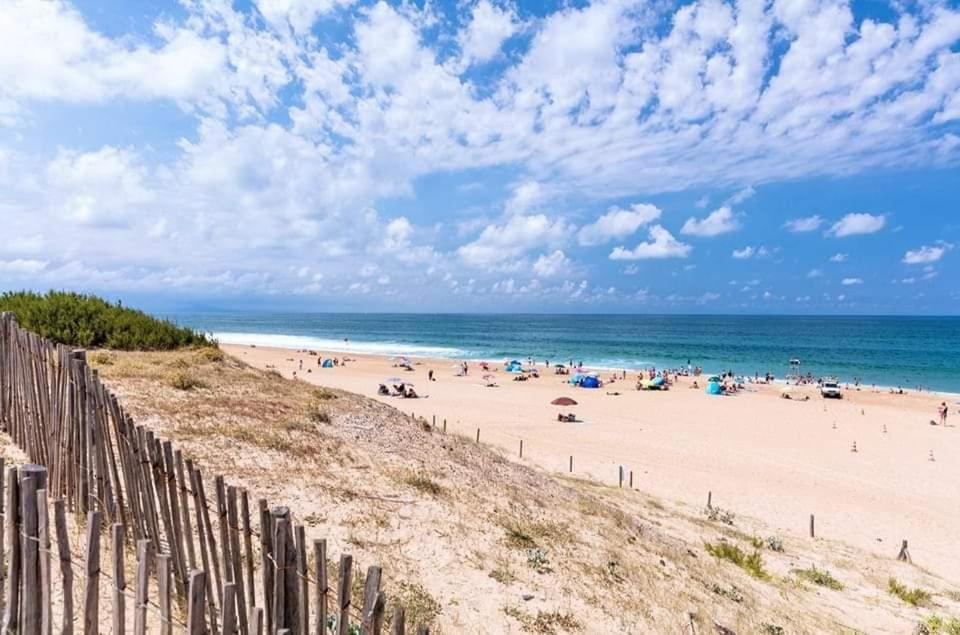 T2 Antigua Ondres Plage Avec Piscine Et Tennis Kültér fotó