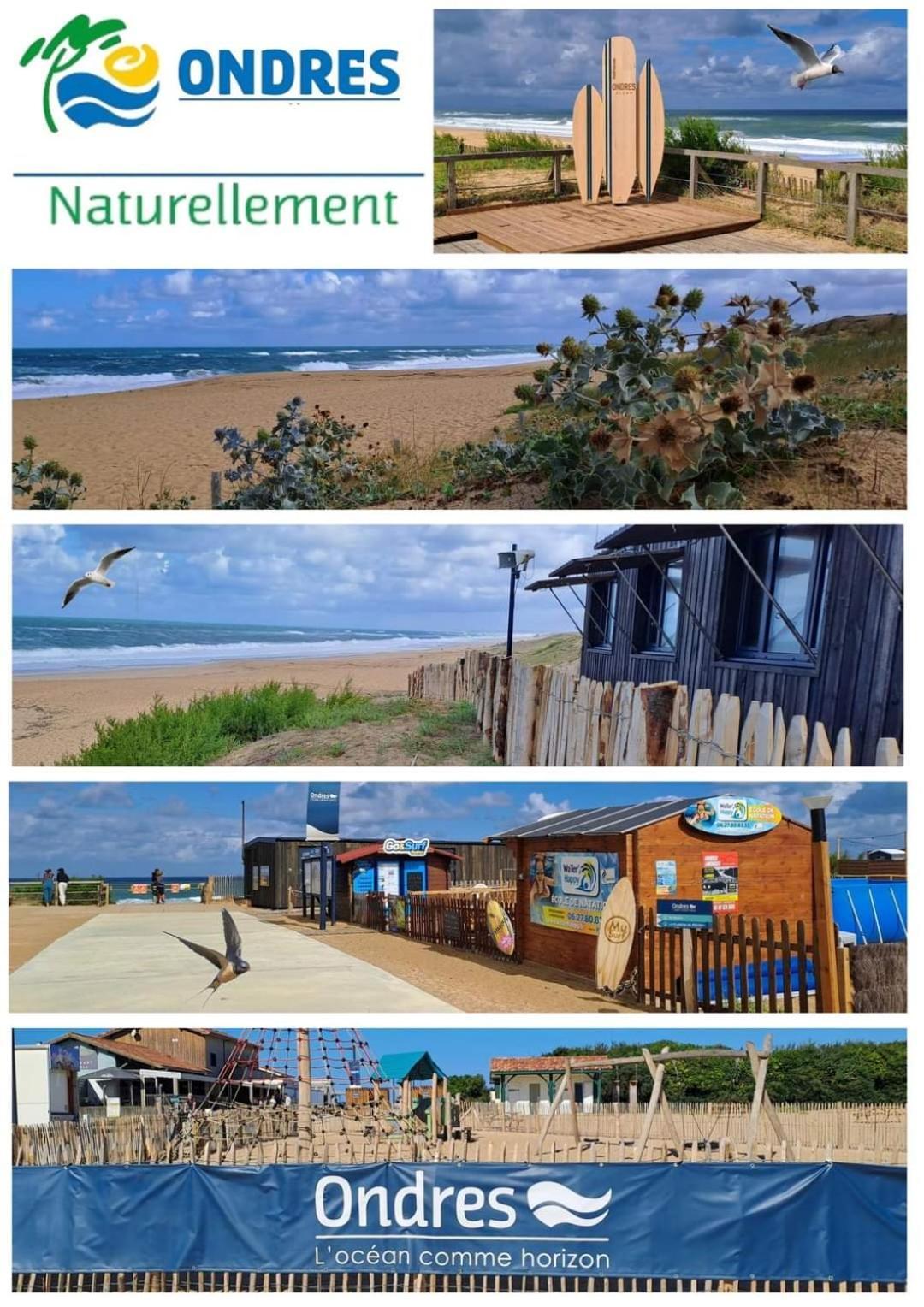 T2 Antigua Ondres Plage Avec Piscine Et Tennis Kültér fotó